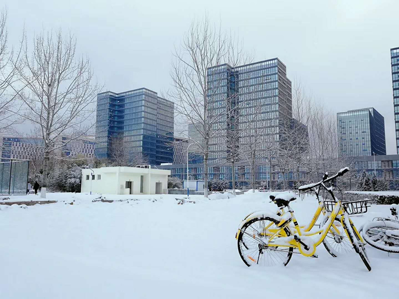 雪景 (10).jpg